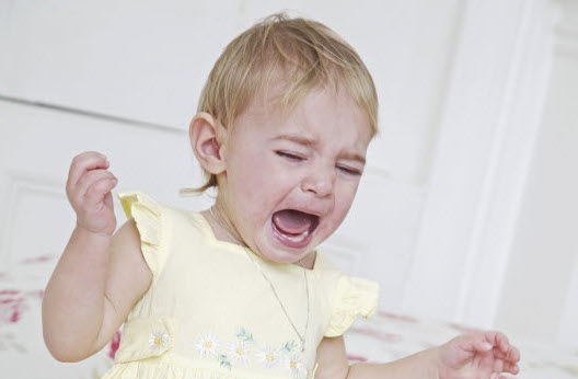 Pelajari Emosi Anak Usia 1-2 Tahun