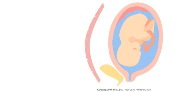 Jika Janin Gagal Tumbuh