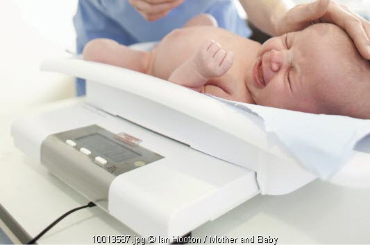 Berat Badan Ideal Bayi