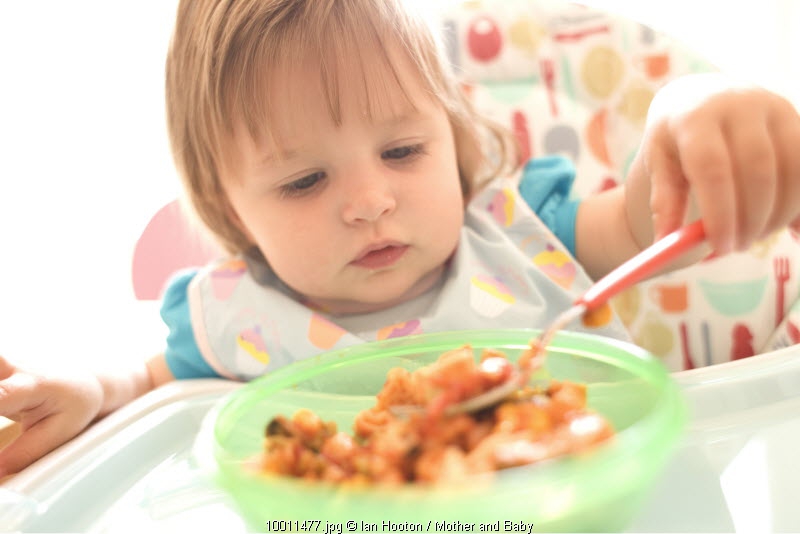 Aksi Makan Anak Usia 2-3 Tahun