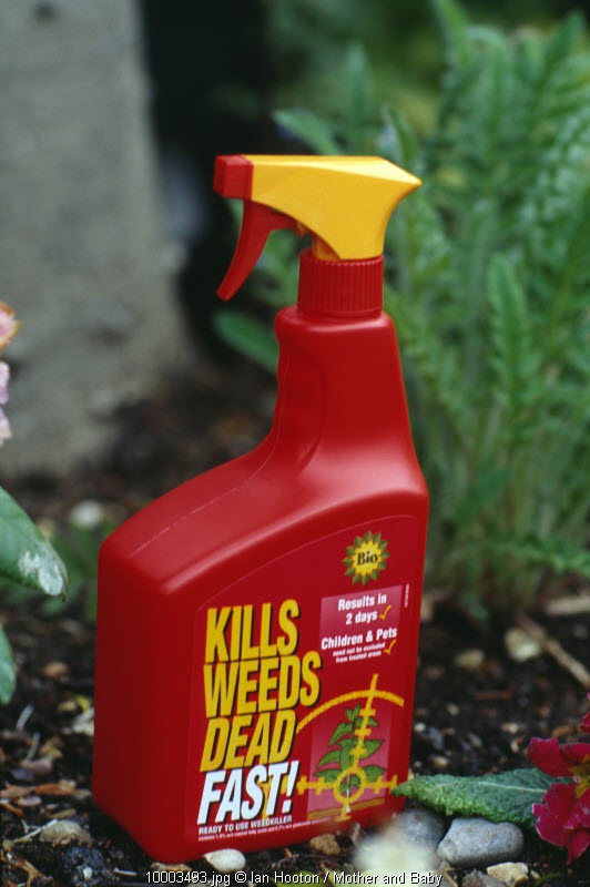 Waspada Zat Kimia Berbahaya