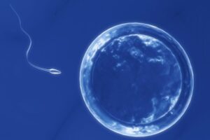 Terapi Sperma Perbesar Potensi Kehamilan