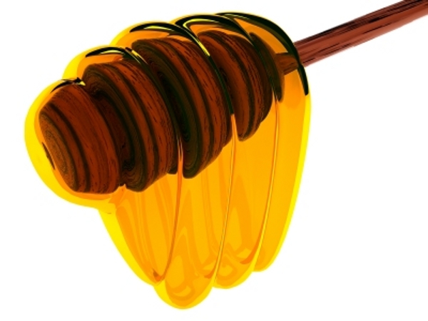 Manfaat Madu Bagi Manusia