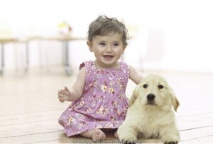 Mari Berteman Dengan Hewan