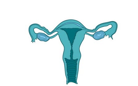 Ragam Bentuk dan Masalah Rahim (2)