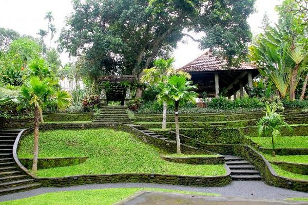 Tanah Ubud, Si &#8216;Obat Penenang&#8217;