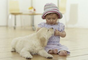 Waspada Penyebaran Penyakit di Rumah