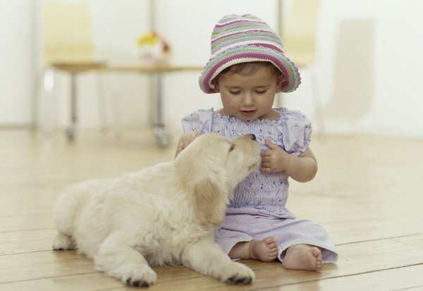 Waspada Penyebaran Penyakit di Rumah