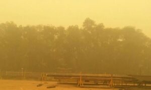 Kabut Asap Riau Mengancam Kesehatan Anak