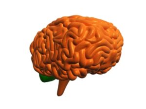 Cedera Otak, Penyebab Utama Epilepsi