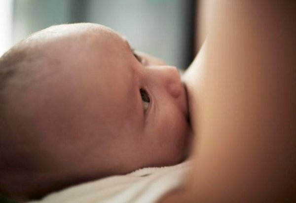 Pelekatan Puting saat Menyusui