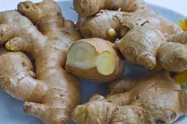 Pengobatan Herbal Tuberkulosis