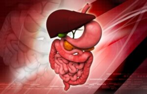 Fungsi Probiotik bagi Tubuh