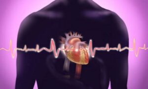 Hubungan Kalsium dan Penyakit Jantung