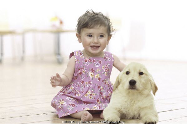 Mari Berteman dengan Hewan