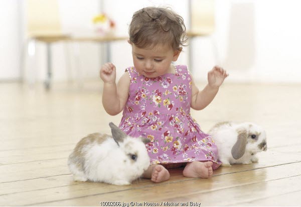 Waspada Anak Alergi Hewan Peliharaan