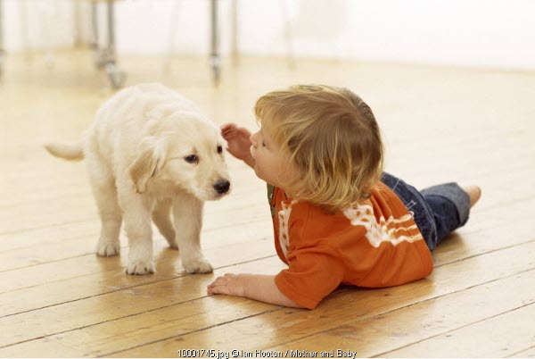Saat Hewan Peliharaan Si Kecil Mati