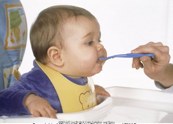 Jenis Makanan yang Disukai Si Kecil