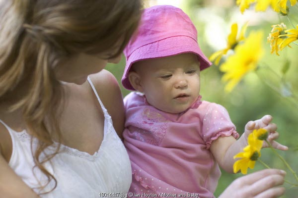 Inspirasi Nama Bayi Dari Tanaman