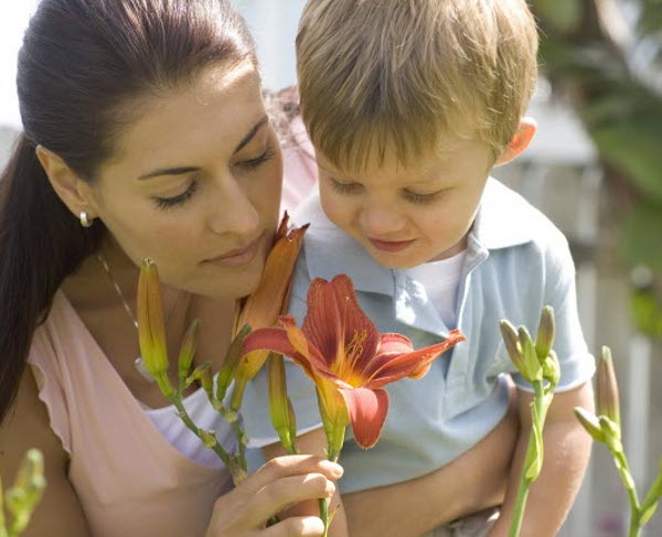 Indra Penciuman Wanita Lebih Kuat Daripada Pria