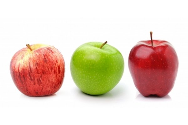 Listeria 1: Risiko Penyebaran Bakteri Listeria