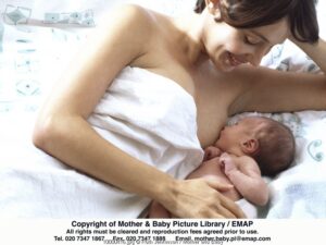 Menyusui Bayi Prematur