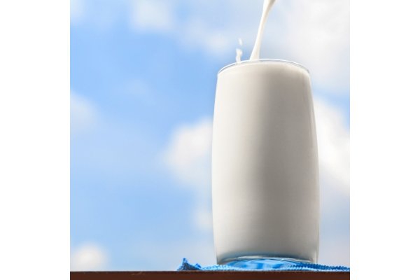 Mengenal Susu Almond