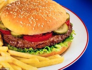 Junk Food Memengaruhi Otak Untuk Berpikir