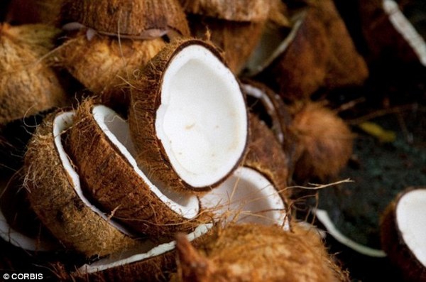 Minyak Kelapa untuk Kesehatan Mulut