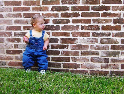 Berat Badan Bayi ASI