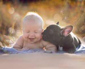 Si Kecil & Hewan Peliharaan