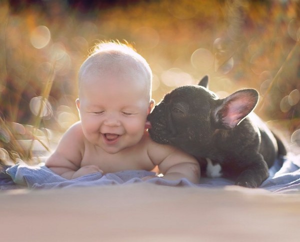 Si Kecil &#038; Hewan Peliharaan