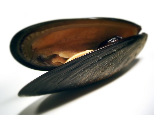 Makanan &#038; Minuman yang Dapat Mencemari ASI