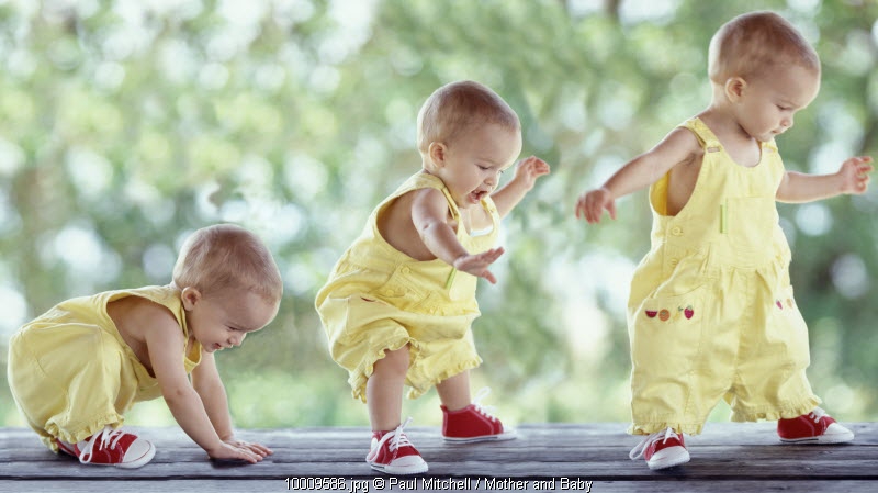 Memilih Baby Walker yang Tepat
