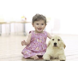 Waspada Gigitan Anjing!