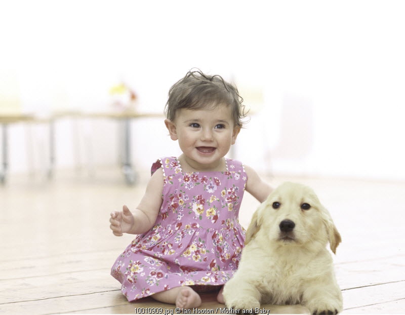 Waspada Gigitan Anjing!