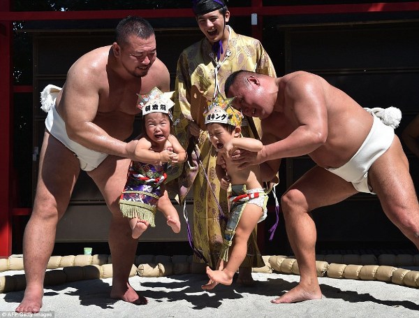 Bayi Ikut Sumo dan Harus Menangis!