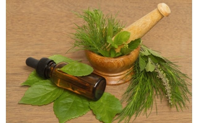 6 Khasiat Tea Tree Oil