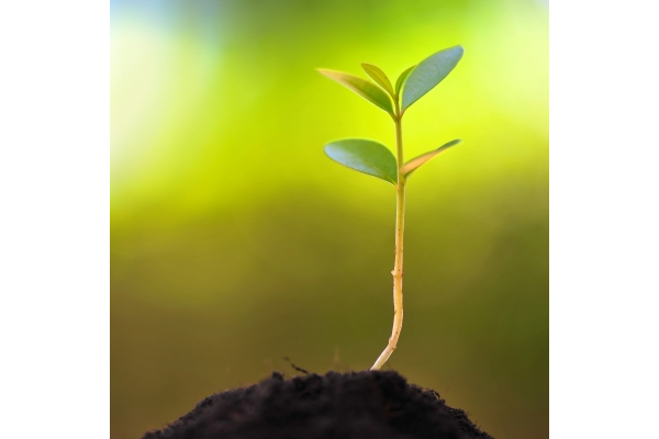 Kebiasaan Sederhana untuk Memperbaiki Lingkungan