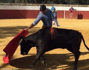 Matador Melawan Banteng Sambil Menggendong Anak