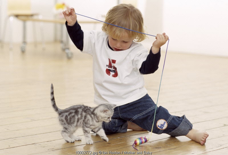 Tips Memelihara Hewan