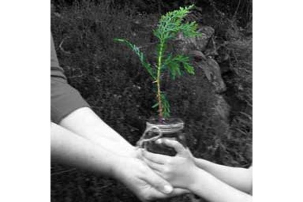 Tanamkan Jiwa Cinta Lingkungan