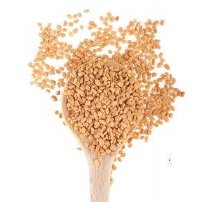 Biji Klabet Berkhasiat untuk Memperlancar ASI