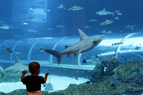 4 Taman Hiburan Seru untuk Liburan Anda dan Si Kecil