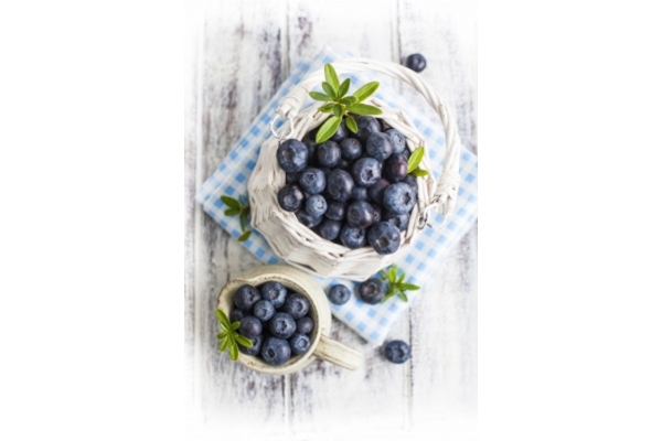 5 Makanan Pencegah Penuaan Dini