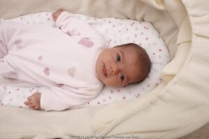 Enam Bulan yang Menakjubkan