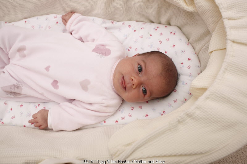 Enam Bulan yang Menakjubkan