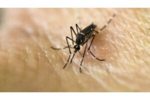 Ini Korban Pertama yang Terinfeksi Zika Lewat Seks