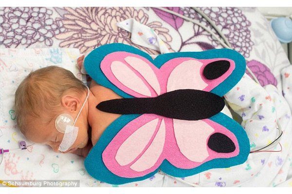 Perayaan Halloween Paling Imut