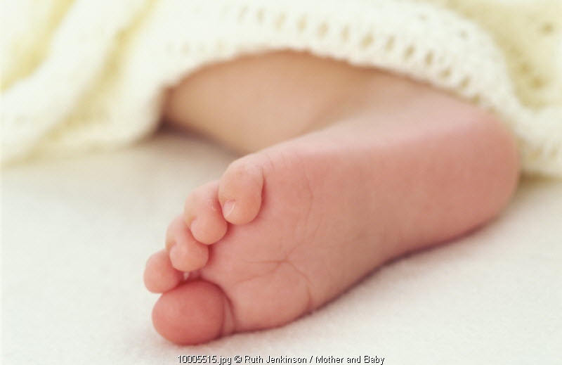 Ayah Jual Bayi Lewat E-Bay?